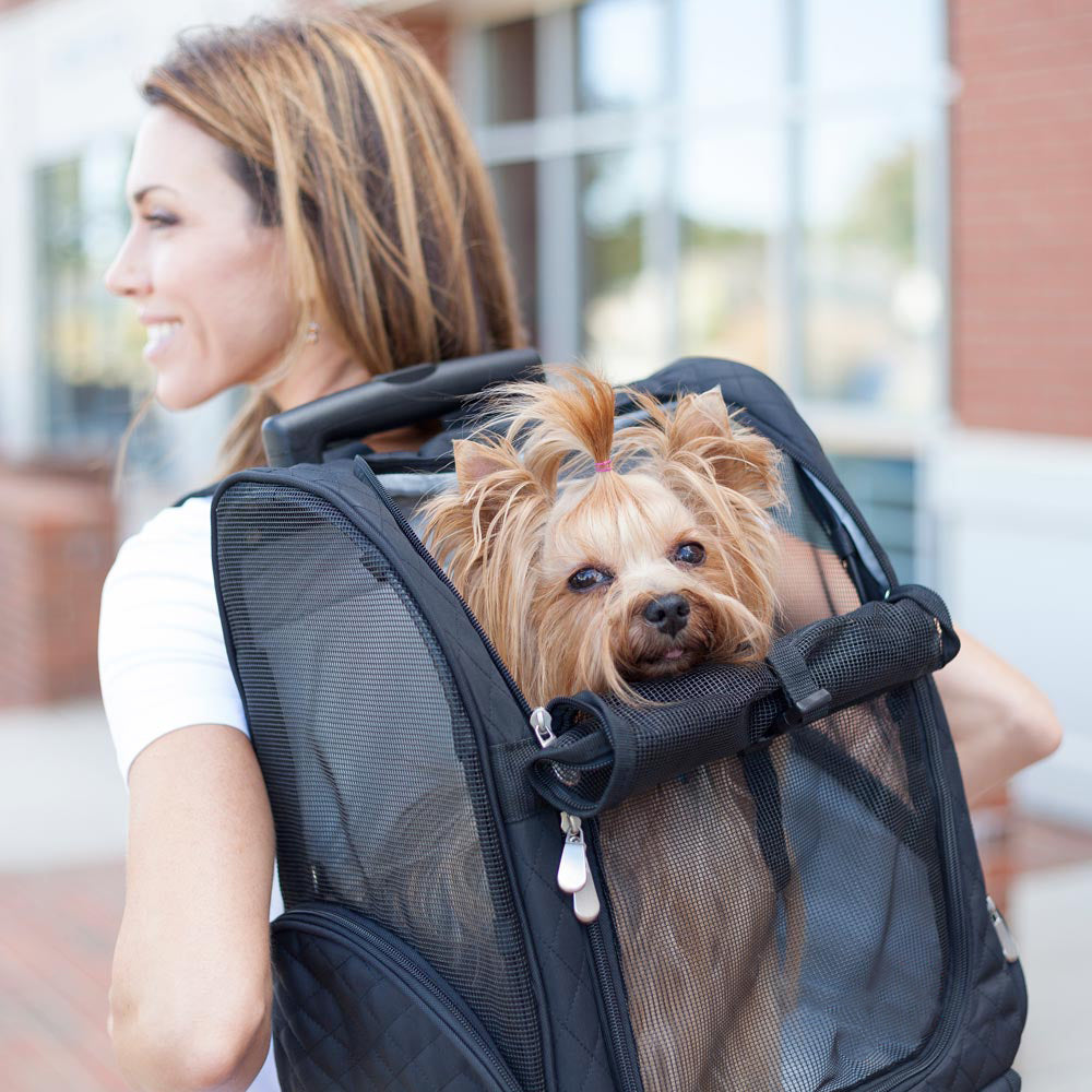 Woman carrying a small dog in a stylish pet carrier backpack outdoors.