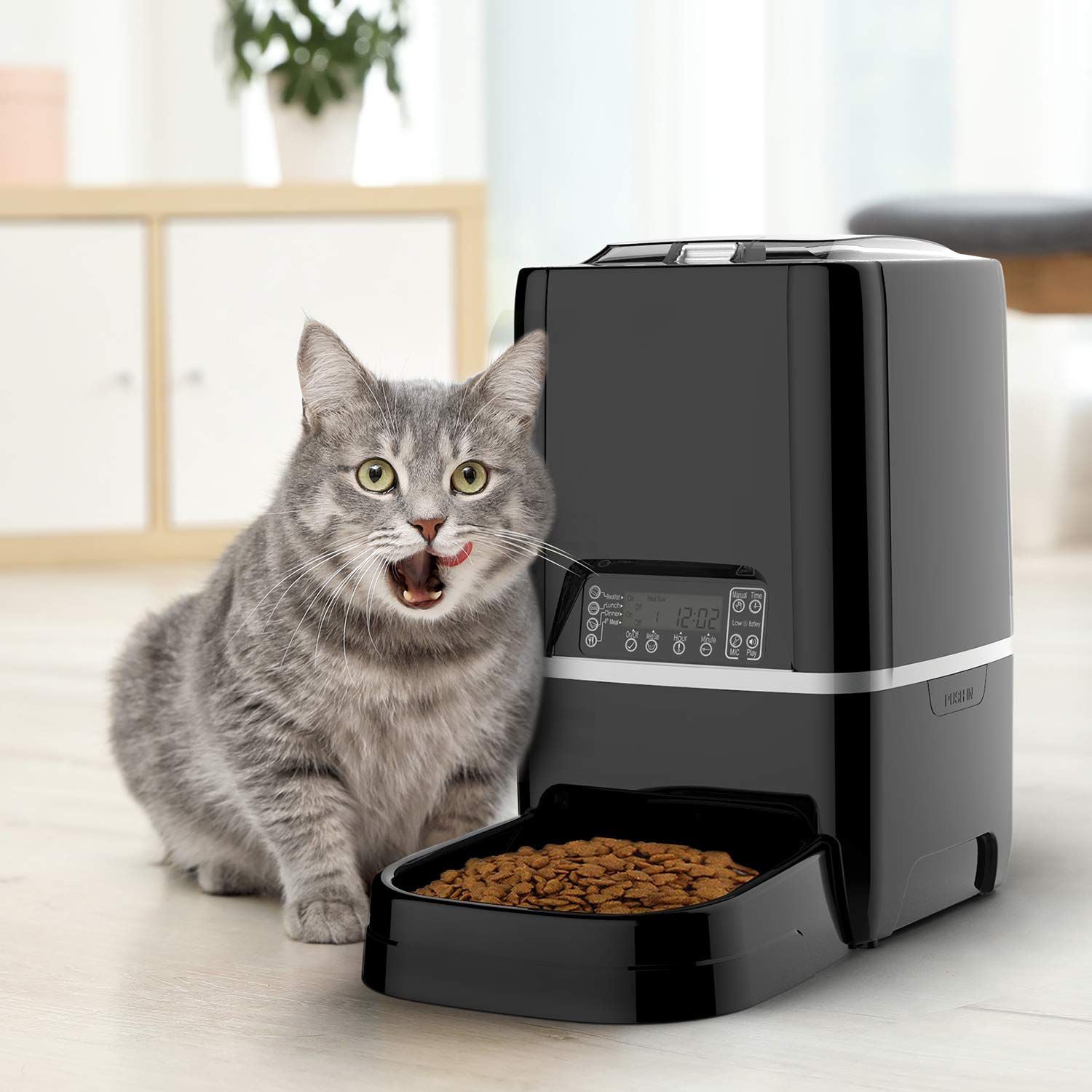 Gray cat next to an automated pet feeder, excitedly anticipating its meal with kibble in the bowl.