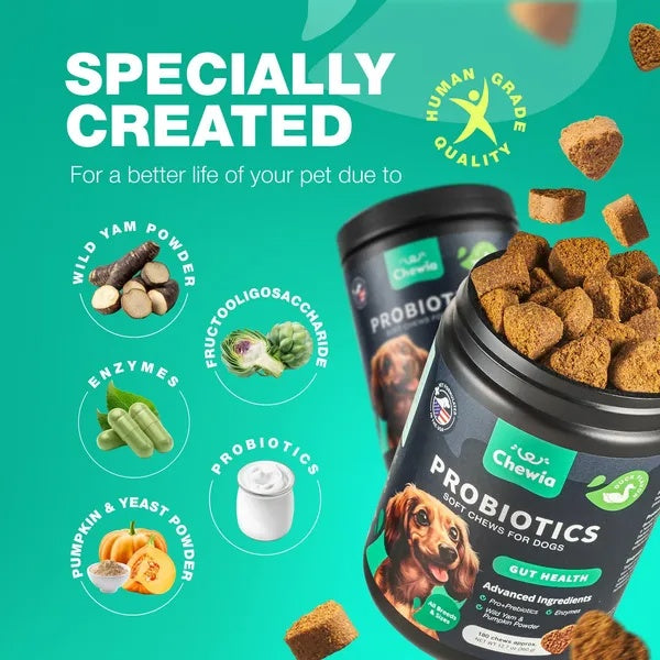 Probiotics for dogs gut health in chewable form, featuring wild yam, enzymes, and pumpkin powder for digestive support.