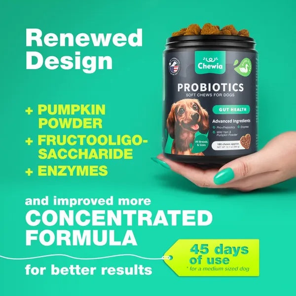 Chewia probiotics for dogs in a renewed design, featuring pumpkin powder and a concentrated formula for gut health.