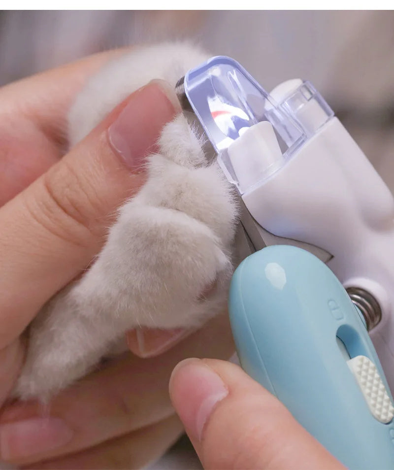 Hands using LED electric pet nail clippers on a pet's paw for safe claw trimming and grooming.