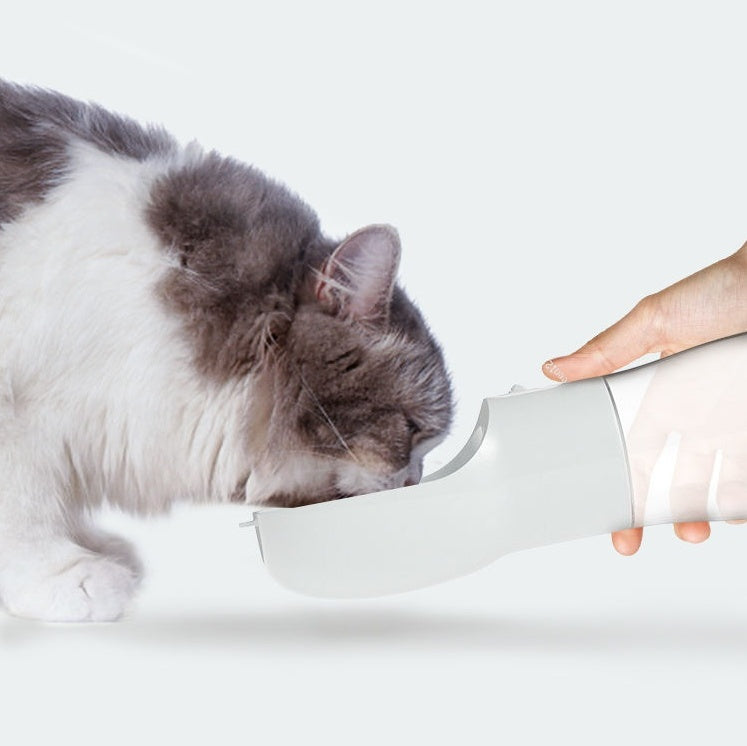 A hand holding a portable pet water dispenser close to a cat's face, promoting hydration for pets.