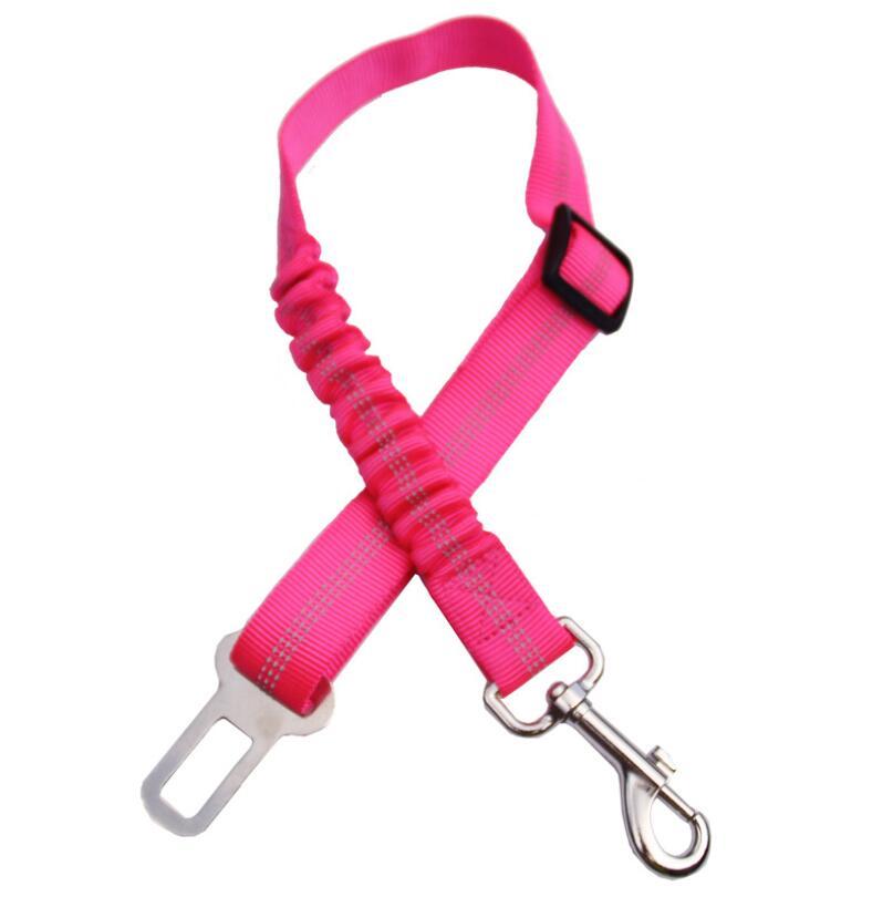 Seatbelt Secured Car Leash