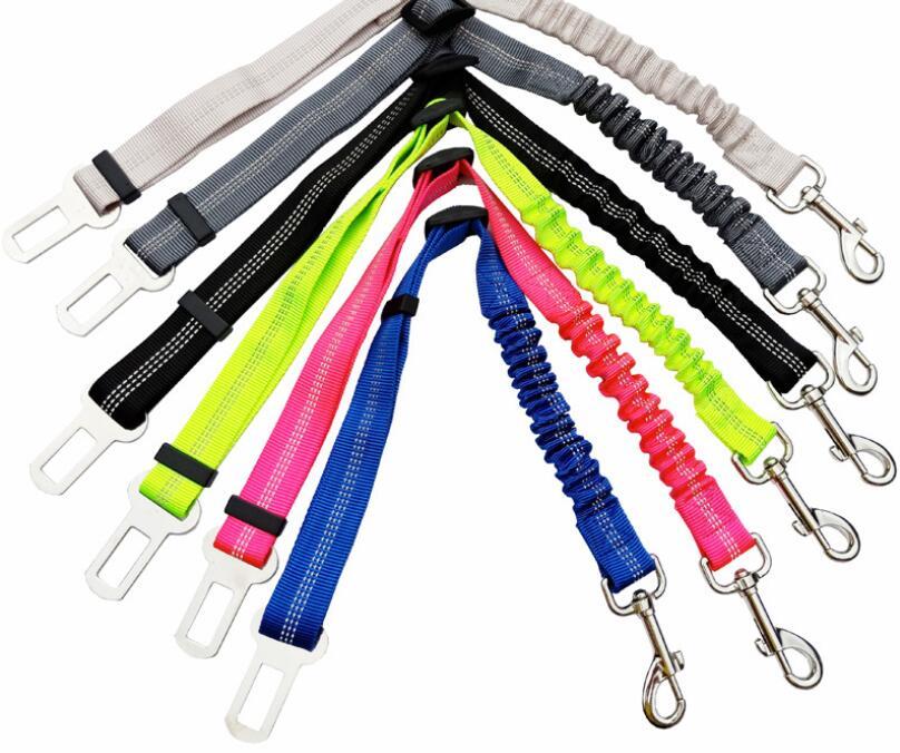 Seatbelt Secured Car Leash