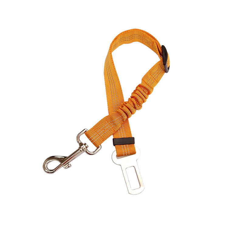 Seatbelt Secured Car Leash