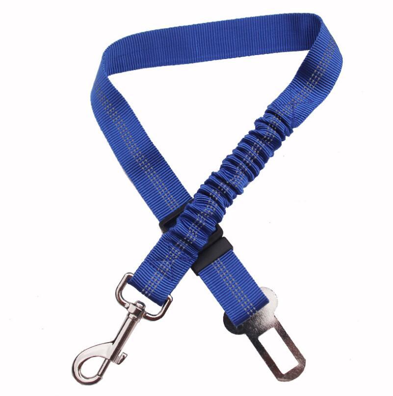 Seatbelt Secured Car Leash