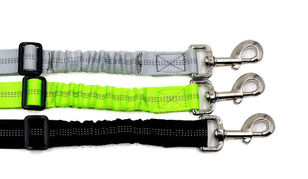 Seatbelt Secured Car Leash