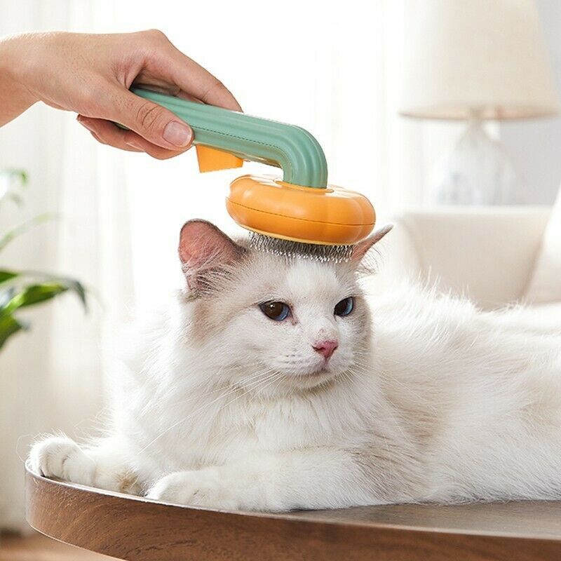 Pet owner grooming a fluffy cat with a cute pumpkin-shaped comb, enhancing pet care experience.