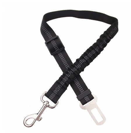 Seatbelt Secured Car Leash