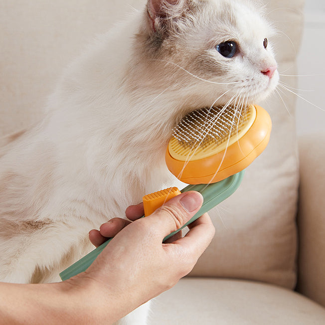 Person using a Cute Pumpkin Pet Grooming Comb on a fluffy cat, highlighting its fun design and effective grooming capabilities.