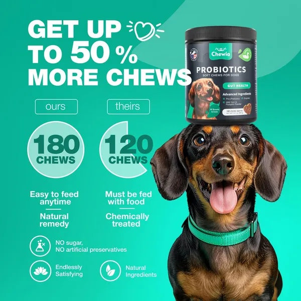 Chewable probiotics for dogs promoting gut health with 50% more chews, featuring a happy dog and product details.