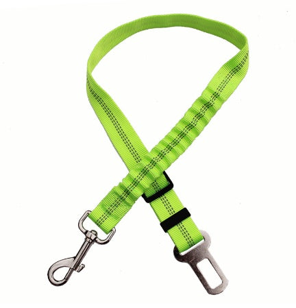 Seatbelt Secured Car Leash