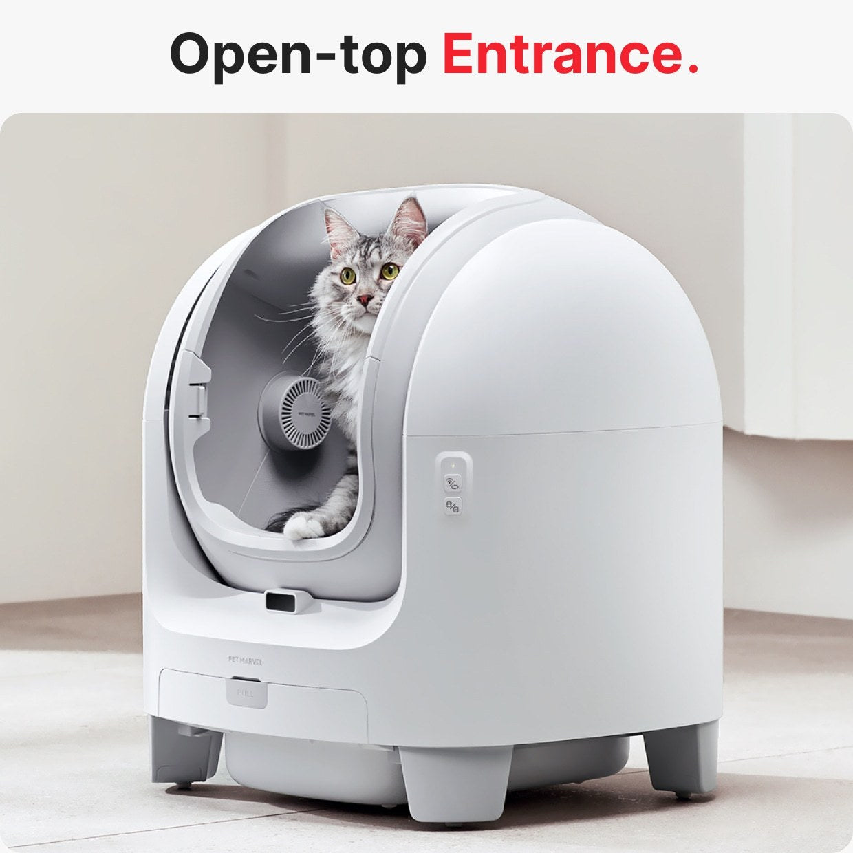 Smart self-cleaning litter box with open-top entrance and cat inside for easy access and comfort.